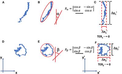 Investigation of Biophysical Migration Parameters for Normal Tissue and Metastatic Cancer Cells After Radiotherapy Treatment